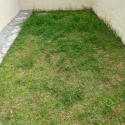 Concreto2